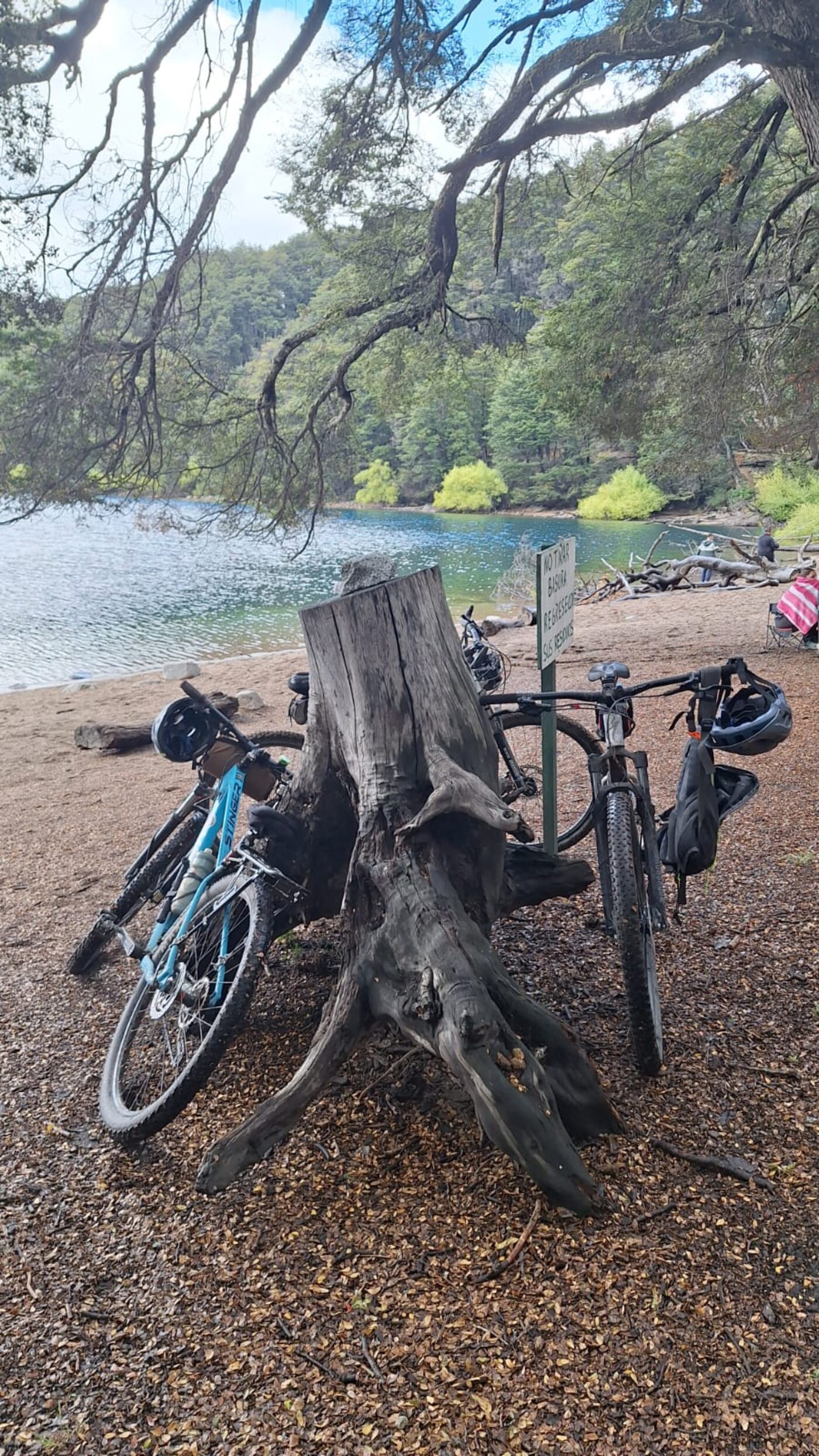 Bicicletas junto al lago