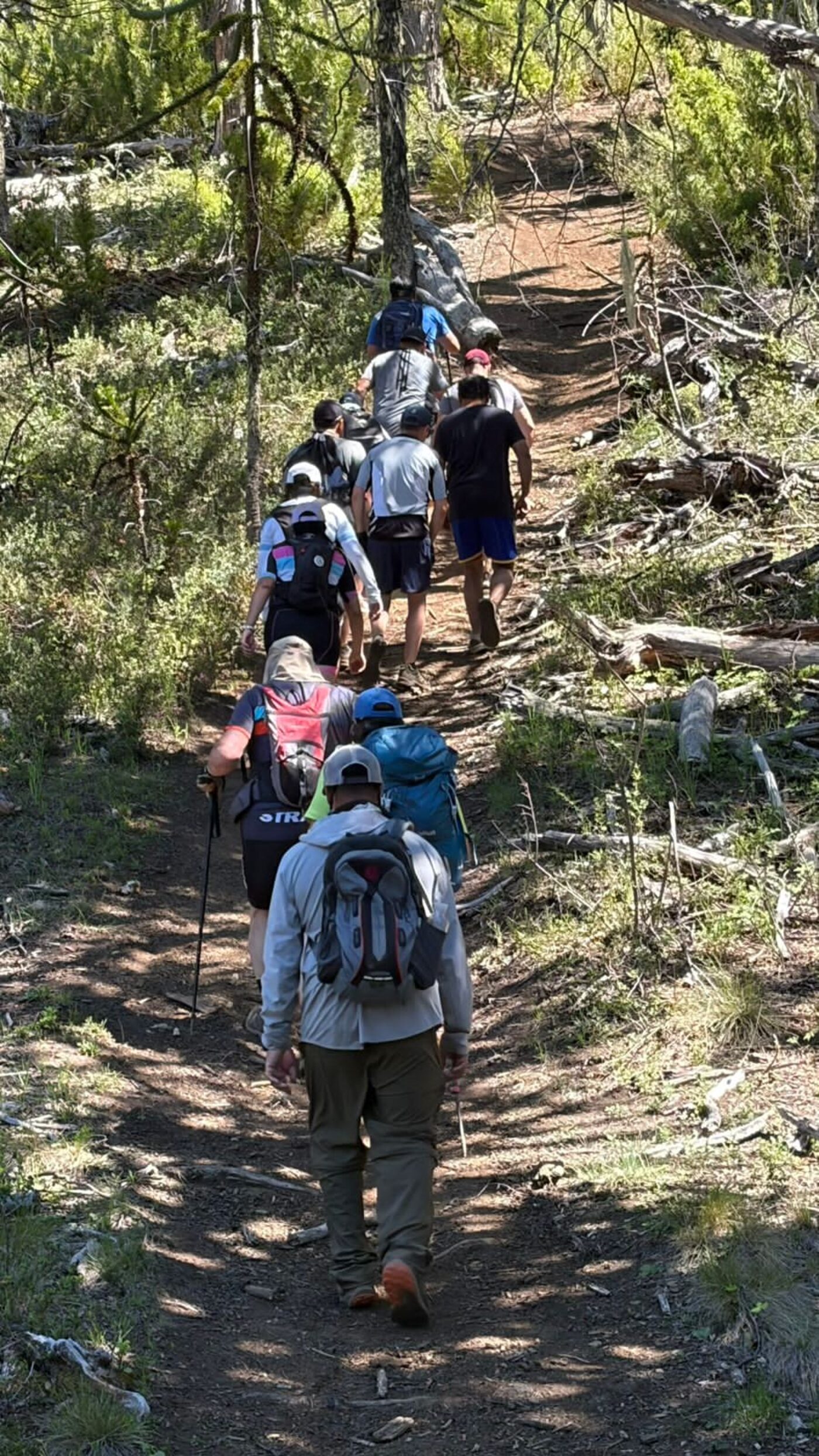 Grupo en trekking por el bosque